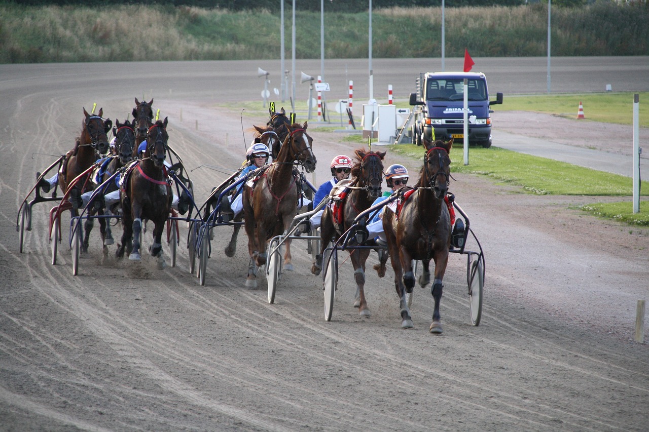 You are currently viewing Possible de gagner aux courses de chevaux ? #2
